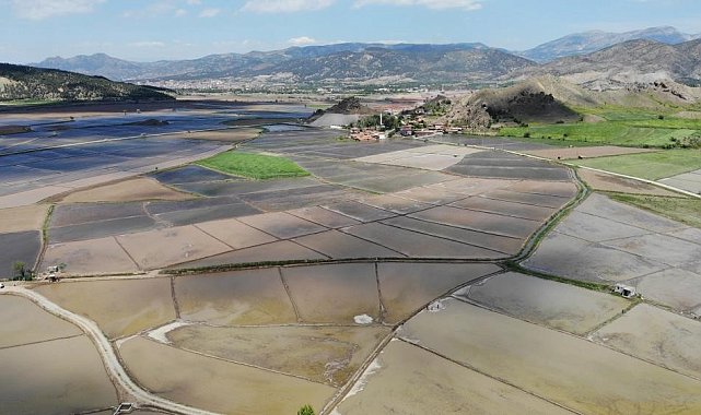 'Beyaz altın'ın sofralara uzanan yolculuğu başladı