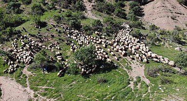 5 bin insan, 400 bin küçükbaş hayvanın zorlu yolcuğu başladı