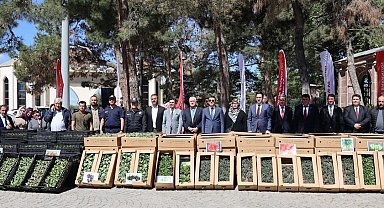61 bin 780 adet yerli ve milli sebze fidesi dağıtıldı