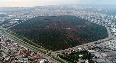 7 yürüyüş parkuru 25 bin ağaçla kentin akciğeri Zeytinpark, Antalyalıları bekliyor