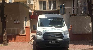 Adana'da köpek sürüsü yaşlı kadını parçaladı
