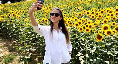 Adana'da tarlalar sarıya boyandı