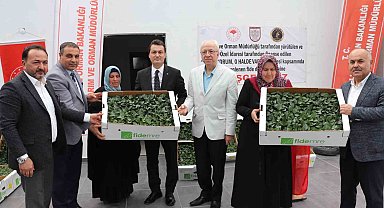 Akıncılar'da salçalık domates ve biber fidesi dağıtıldı