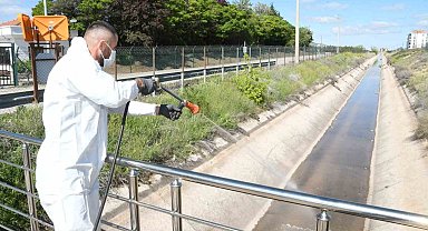 Aksaray Belediyesi dere ve göletlerde erken larva mücadelesi başlattı