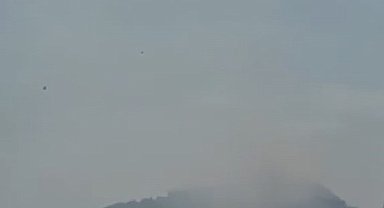 Alanya'da makilik alanda çıkan yangın söndürüldü