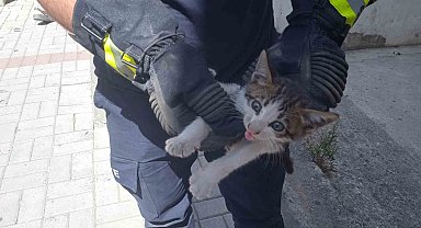 Alanya'da motosikletin içine sıkışan kedi 15 dakikalık çalışmayla kurtarıldı
