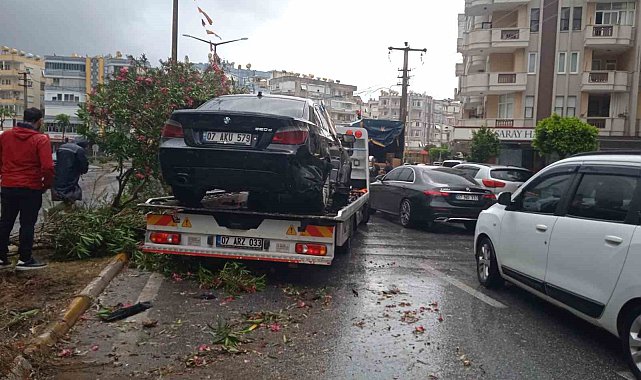Alanya'da refüje çıkan otomobil ağaçları devirdi