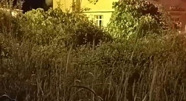 Alaplı'da 2 binanın çatı katı alev alev yandı