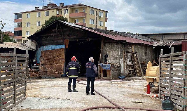 Alevlerden kaçarken yola fırlayan kedinin imdadına yetişti
