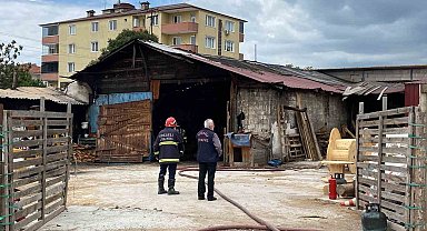 Alevlerden kaçarken yola fırlayan kedinin imdadına yetişti