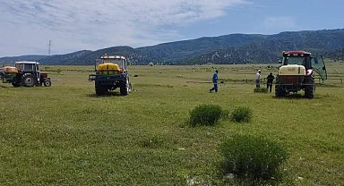Amasya'da çekirge popülasyonu artan Kertme köyünün merasında ilaçlama yapıldı