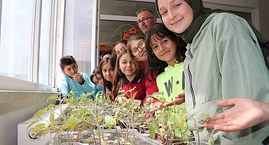 Amasyalı öğrenciler okulda ata tohumu ekip fide yetiştirdi