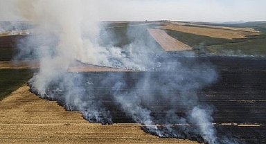 Anız yakana dekar başına 386 lira ceza