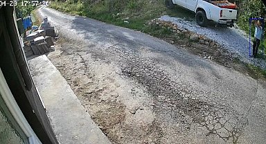 Antalya'da kedi köpek oteline silahlı ve uçan tekmeli saldırı