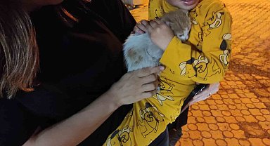 Aracın motoruna giren kedi yavrusu jandarma tarafından çıkarıldı