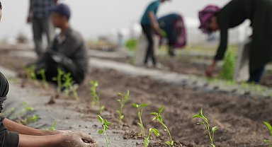Ata tohumları Karatay'da toprakla buluştu