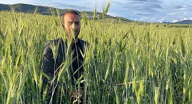 Ata tohumu çiftçinin yüzünü güldürüyor