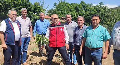 Aydın'dan 2023 yılında 2 bin 240 ton kestane yurtdışına ihraç edildi