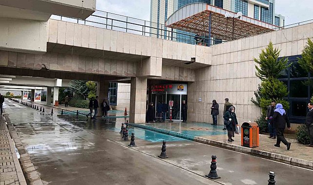 Bal arısının soktuğu adam komaya girdi