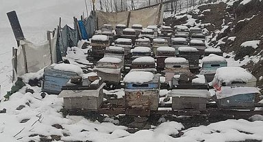 Balı ile ünlü Anzer Yaylası'na çıkan vatandaşların kar şaşkınlığı