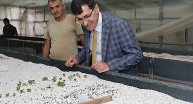 Başkan Eyüp Kahveci Tıbbi ve Aromatik Bitki Merkezini inceledi