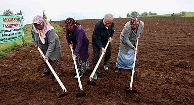 Başkan Güler: "Akkuş Fasulyesine Avrupa Birliği coğrafi işaret almak için çalışmalar yapılıyor"