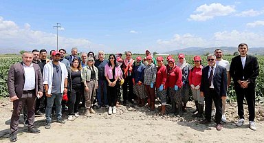 Başkan Yetişkin, enginar hasadına katıldı