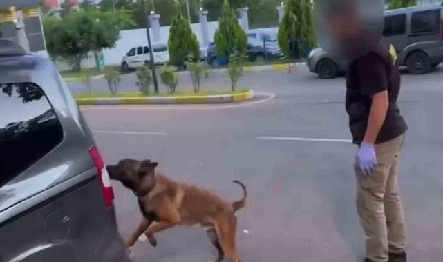 Batman'da takibe alınan araçlarda 93 kilo esrar ele geçirildi