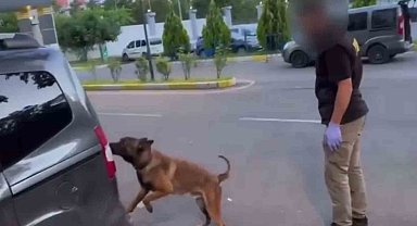Batman'da takibe alınan araçlarda 93 kilo esrar ele geçirildi