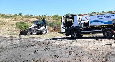 Belediyeden plajlarda temizlik ve düzenleme çalışması