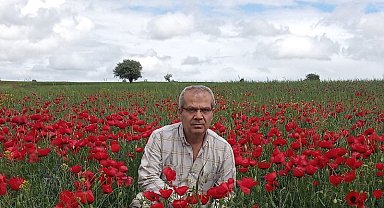 Beyşehir'de ekin tarlaları kırmızıya boyandı