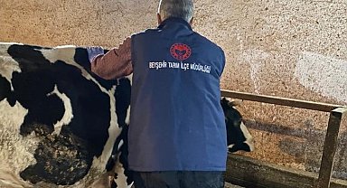 Beyşehir'de şap aşısı kampanyası sürüyor