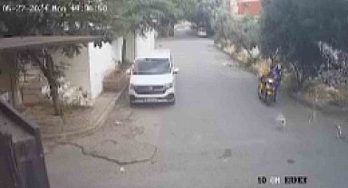 Bilye atan havalı tabancayla köpeğe ateş açtı