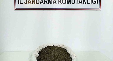 Bingöl'de 3 kilo 650 gram uyuşturucu madde ele geçirildi