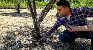 Bodrum'da tarımsal üretimde su tasarrufu