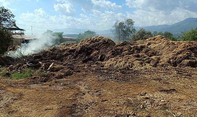 Bozdoğan'da 70 ton saman kül oldu