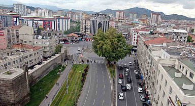 Bu çınar 350 yaşında