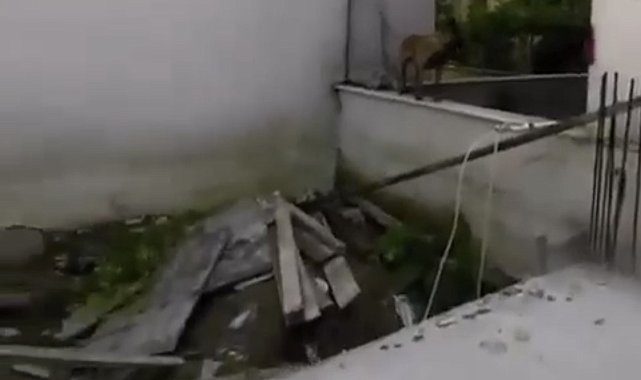 Bursa'da 3 çocuğu ısıran köpeklere polisin müdahalesi kamerada