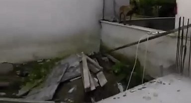 Bursa'da 3 çocuğu ısıran köpeklere polisin müdahalesi kamerada