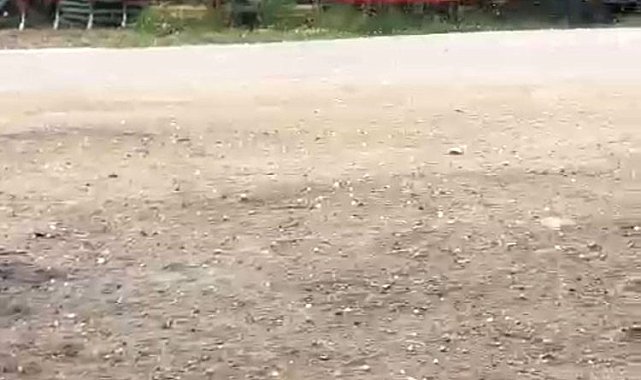 Bursa'da dolu yağışı üreticileri korkuttu