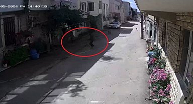 Bursa'da sokak köpekleri 3 çocuğa saldırdı, olay anı kameraya yansıdı