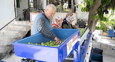 Büyükşehir Belediyesinden Mut'lu üreticilere erik boylama makinesi desteği