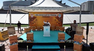 Büyükşehir'in Hobim Arıcılık Projesi'nde kuralar yarın çekiliyor