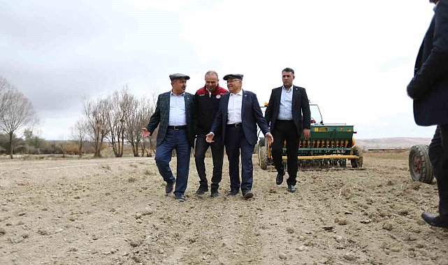 Büyükşehir'in mera vasfı kazandırdığı 600 dekar alan 6 ayda yeşile büründü