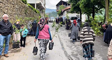 Çamlıhemşin'de bin meyve fidanı ve 300 ata tohumu dağıtıldı