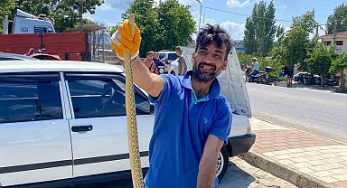 Çanakkale'de otomobilin motor kısmından engerek yılanı çıktı