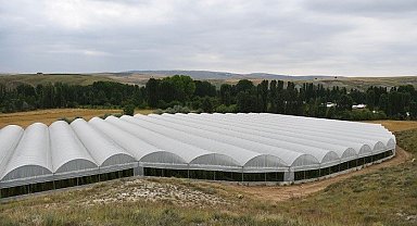 Çankırı'da 50,8 milyon TL'lik tarımsal yatırım yapılacak