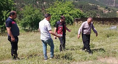 Çekirge ile mücadele başlatıldı