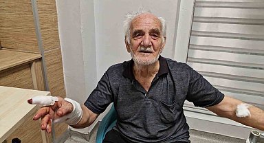 Çoban köpeği duvardan atlayıp yaşlı adamın elini parçaladı