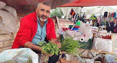 Dağlardan topladığı kekikler geçim kaynağı oldu